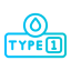 type-1