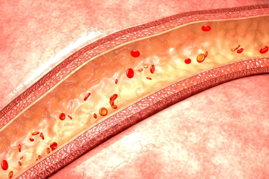 nano-l-doctors-p-tests-gastroenterology-03