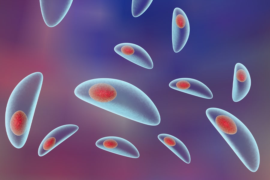 nano-l-doctors-p-tests-ophthalmology-01